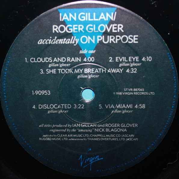 Виниловая пластинка GILLAN & GLOVER ACCIDENTALLY ON PURPOSE LP - рис.2