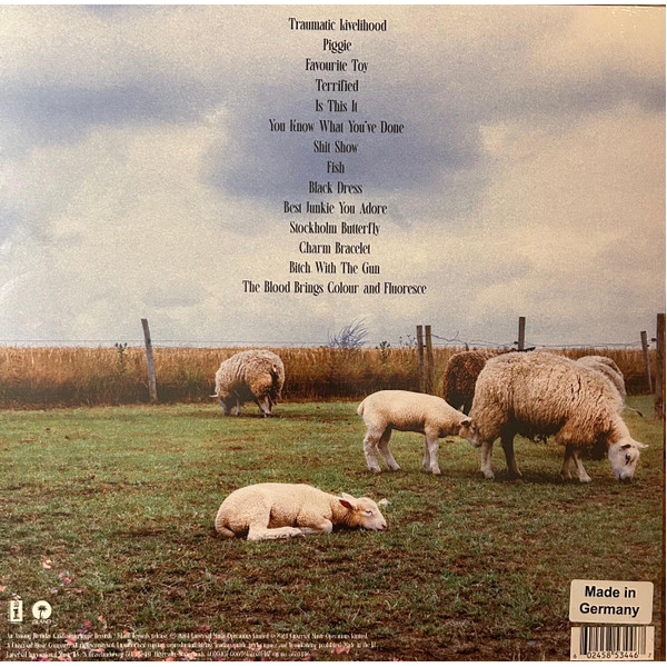 Виниловая пластинка Jazmin Bean – Traumatic Livelihood (Transparent) LP - рис.1