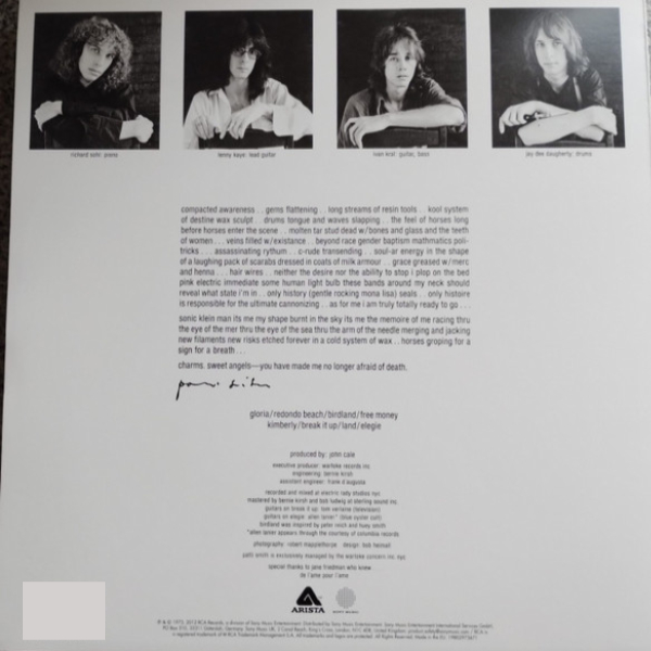 Пластинка Patti Smith – Horses (coloured) LP - рис.1