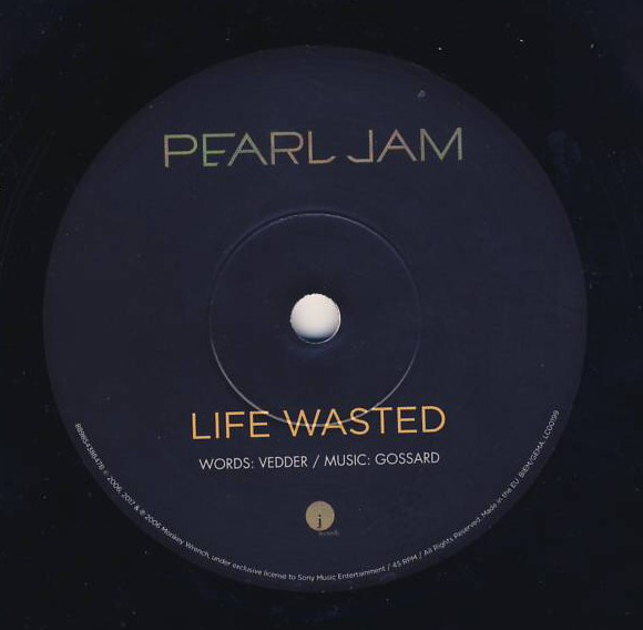 Виниловая пластинка Pearl Jam - World Wide Suicide - рис.3