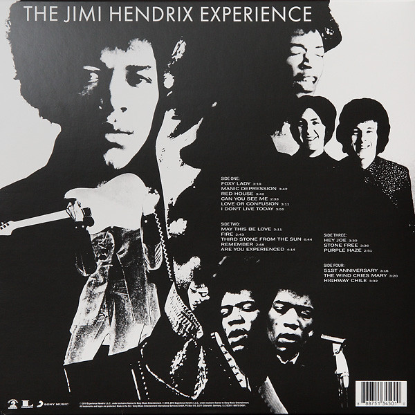 Виниловая пластинка The Jimi Hendrix Experience – Are You Experienced (Mono) LP - рис.1