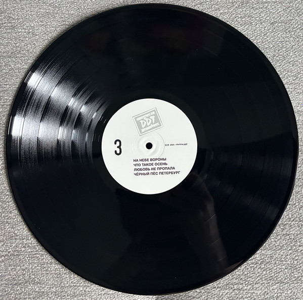 Виниловая пластинка Юрий Шевчук, ДДТ – Сборник Песен №1 - 2LP - рис.11