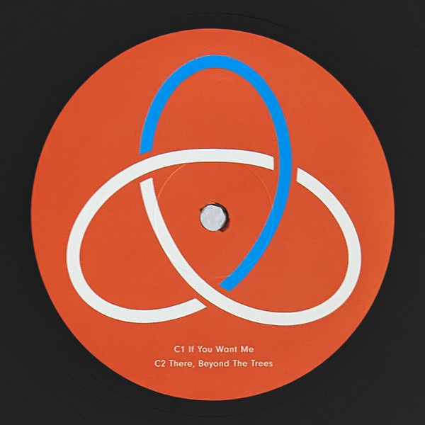 Бокс-сет Royksopp - Profound Mysteries (Box) 6LP - рис.6