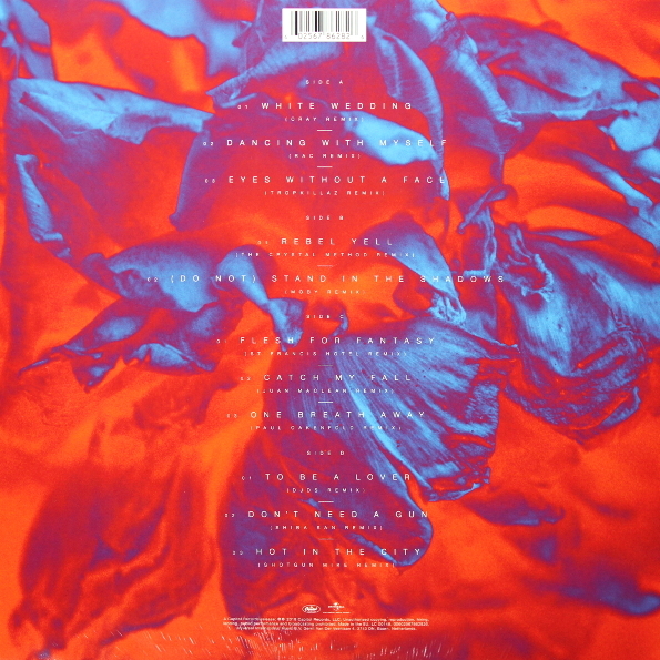 Виниловая пластинка Idol, Billy Vital Idol: Revitalized LP - рис.1