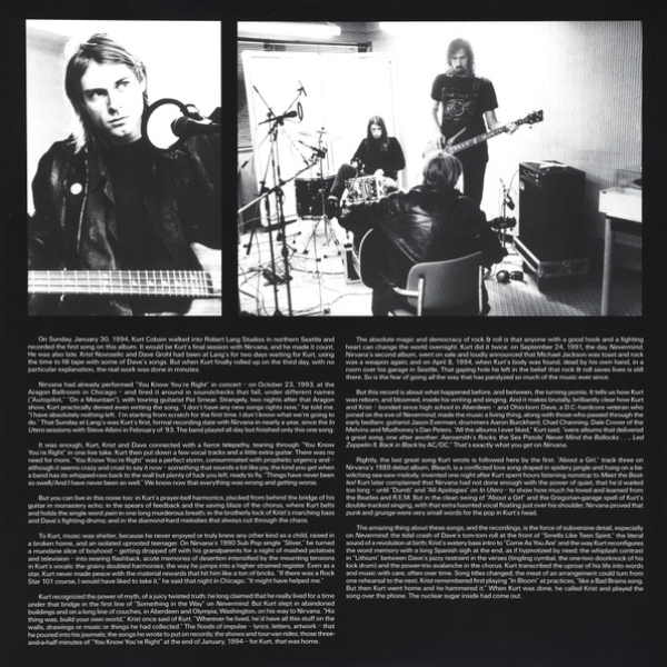 Виниловая пластинка Nirvana Nirvana LP (45rpm) - рис.2