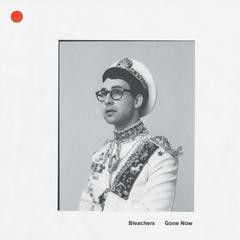 Пластинка Bleachers - Gone Now - рис.0