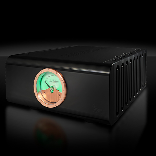 Интегральный усилитель Dan D'Agostino Progression M550 Mono Amplifier Black - рис.1