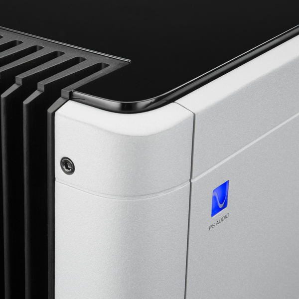 Усилитель мощности PS Audio BHK Signature 300 mono Silver - рис.2