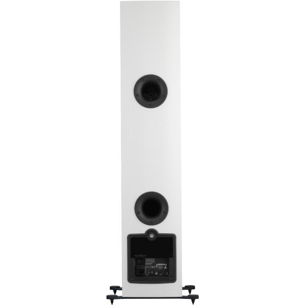 Напольная акустика Dali Rubicon 6 C White High Gloss - рис.4