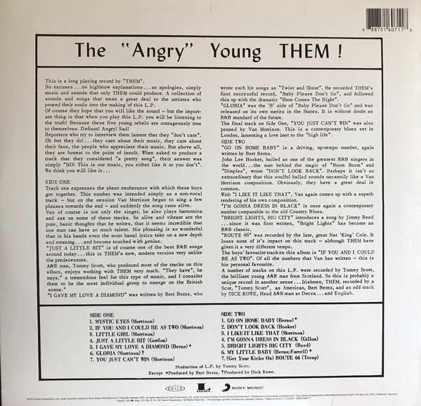 Виниловая пластинка Them - The Angry Young Them! - рис.3