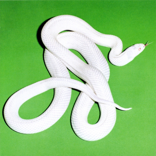 CD-диск Deftones – Private Music - CD - рис.4