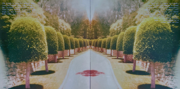 Виниловая пластинка Lana Del Rey - Honeymoon - 2LP - рис.20