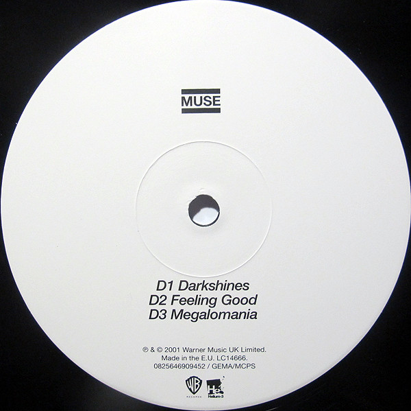 Виниловая пластинка Muse - Origin Of Symmetry - 2LP - рис.7