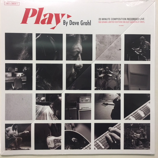 Виниловая пластинка Dave Grohl - Play LP - рис.0