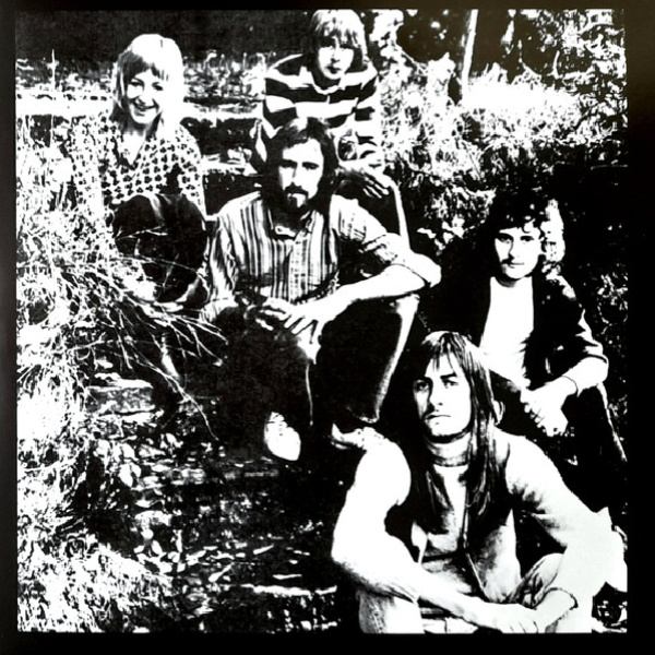 Виниловая пластинка Fleetwood Mac – Fleetwood Mac's Greatest Hits LP - рис.4