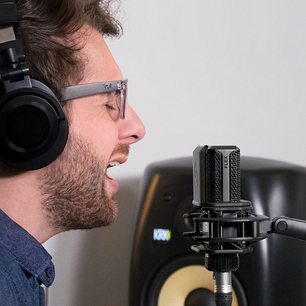 Микрофон студийный Lewitt LCT 441 FLEX - рис.6