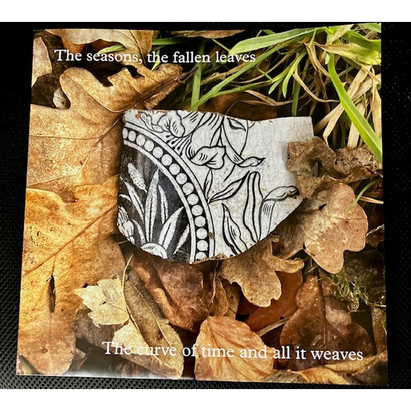 Виниловая пластинка Belle & Sebastian - Late Developers LP - рис.6