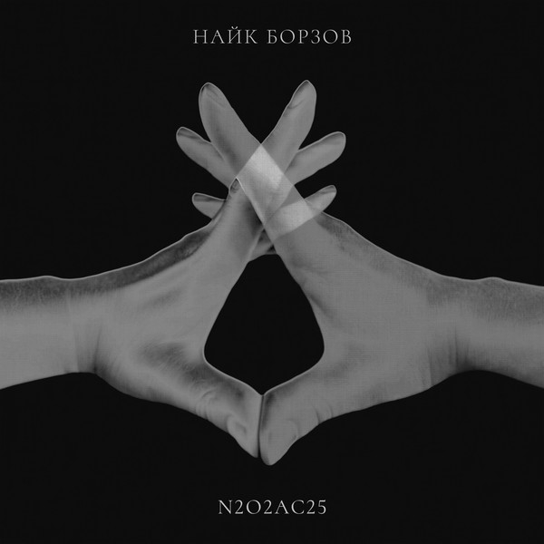 Виниловая пластинка Найк Борзов - N2O2Ac25 - 2LP - рис.0
