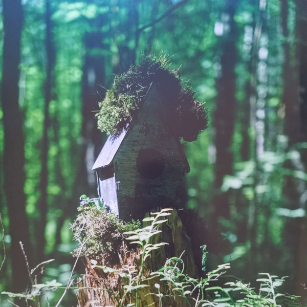 Виниловая пластинка Past Day – Russian Summer (2025) LP - рис.3