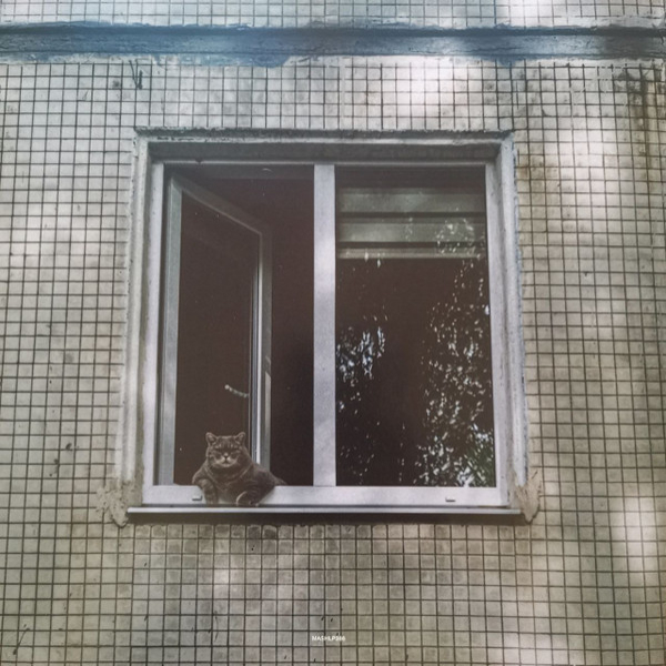 Виниловая пластинка Past Day – Russian Summer (2025) LP - рис.6