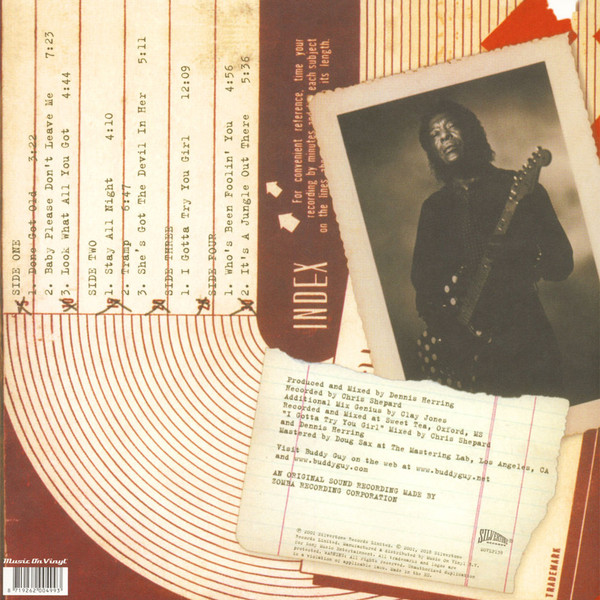 Виниловая пластинка Buddy Guy – Sweet Tea - 2LP - рис.1