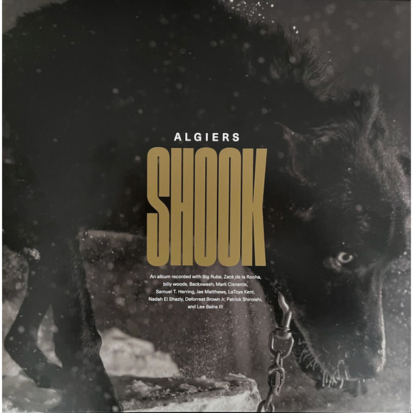 Виниловая пластинка Algiers - Shook LP - рис.0
