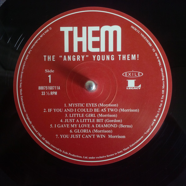 Виниловая пластинка Them - The Angry Young Them! - рис.1