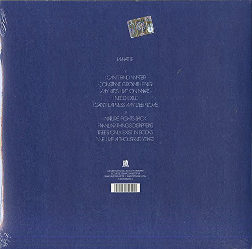 Виниловая пластинка Hauschka – What If LP - рис.1