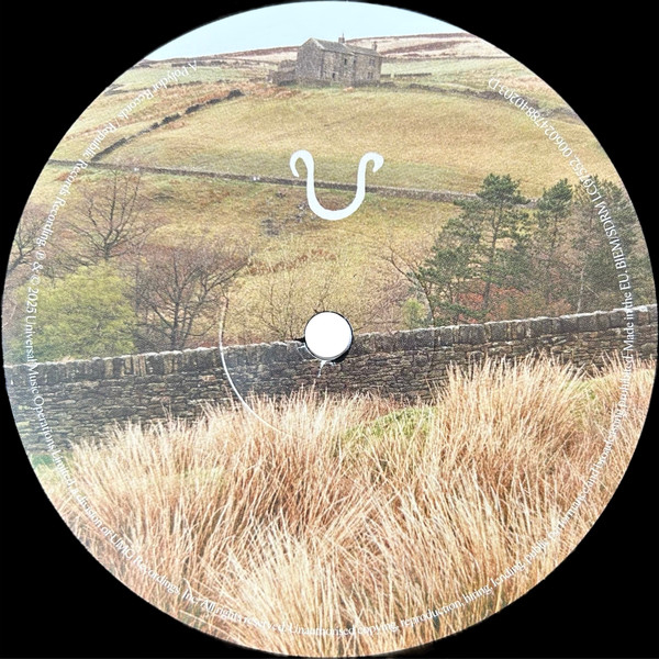 Виниловая пластинка Florence + The Machine – Everybody Scream - 2LP - рис.6