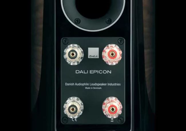 Напольная акустика Dali Epicon 8 Walnut - рис.6
