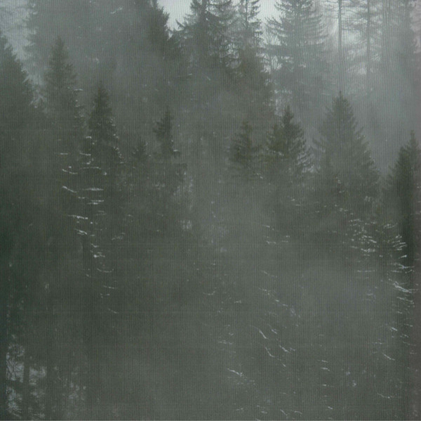 Виниловая пластинка Hildur Guonadottir – Where To From (Crystal Clear) LP - рис.4