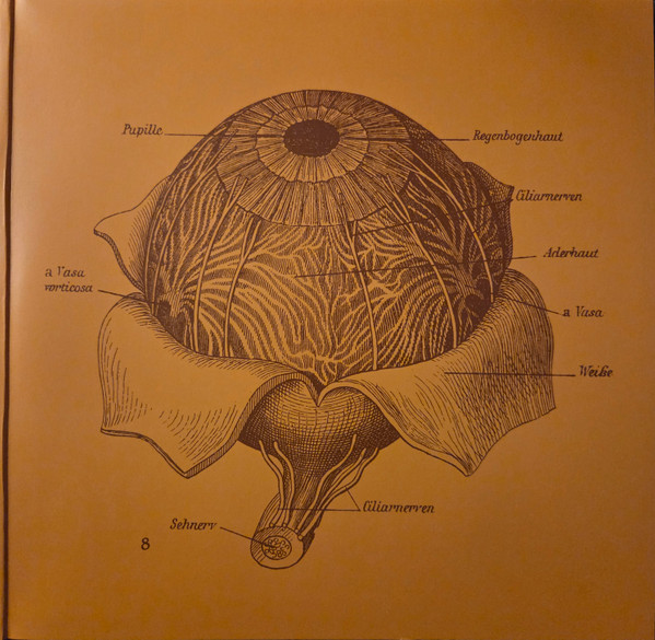 Виниловая пластинка Orbital – Orbital - The Brown Album - Half Speed - 2LP - рис.2