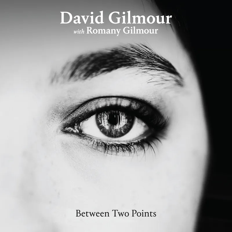  Пластинка David Gilmour