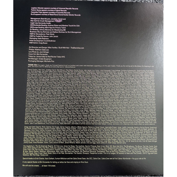 Виниловая пластинка Cobra Starship – Hot Mess LP - рис.3