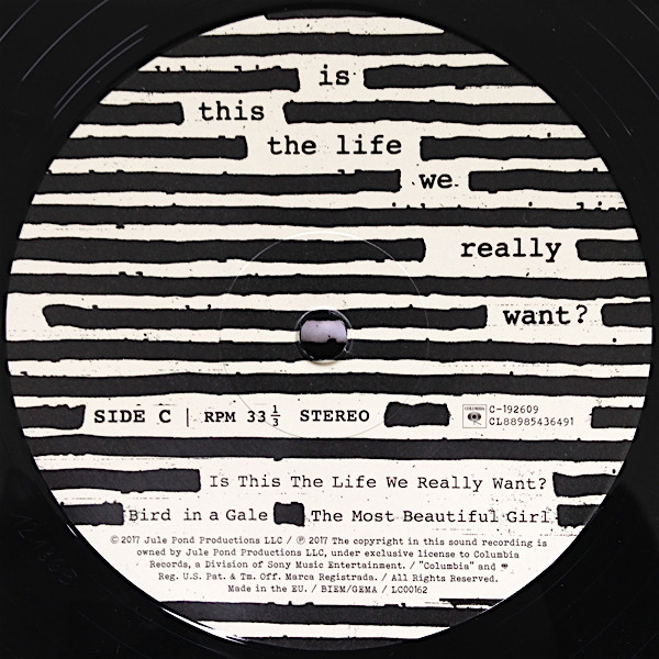 Виниловая пластинка Roger Waters – Is This The Life We Really Want? - 2LP - рис.4