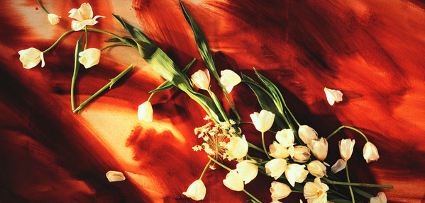 Виниловая пластинка Paul McCartney - Flowers In The Dirt - рис.2