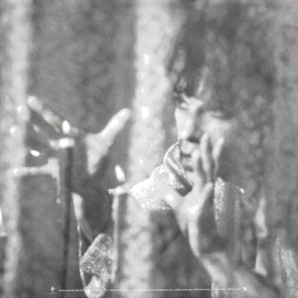 Виниловая пластинка The Artist (Formerly Known As Prince) – The Gold Experience - 2LP - рис.9