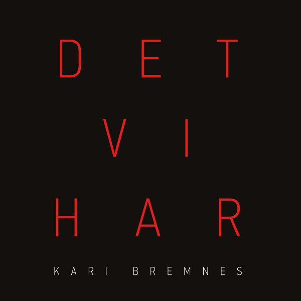 Виниловая пластинка Kari Bremnes - Det Vi Har - 2LP - рис.0
