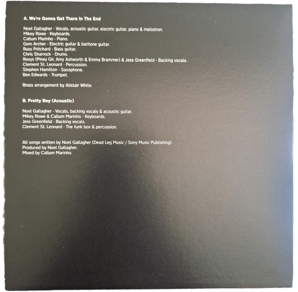 Виниловая пластинка Noel Gallagher's High Flying Birds – Council Skies - LP - рис.1