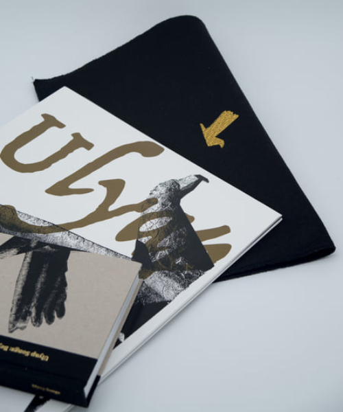 Виниловая пластинка Various Artists - Ulyap Songs : Beyond Circassian Tradition - 2LP - рис.2