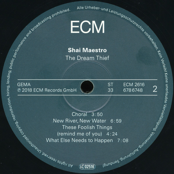 Виниловая пластинка Shai Maestro - The Dream Thief - рис.3