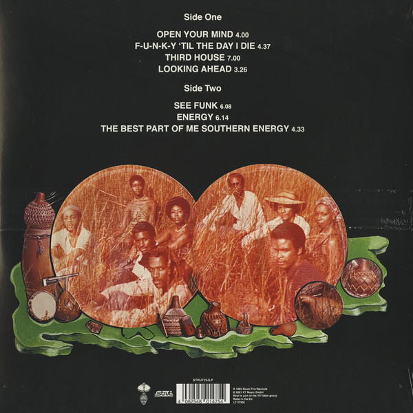 Виниловая пластинка Southern Energy Ensemble – Southern Energy LP - рис.1