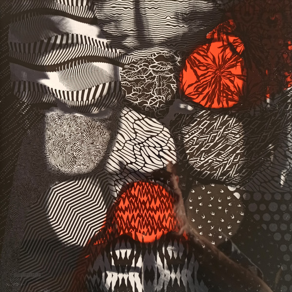 Виниловая пластинка Twenty One Pilots – Blurryface - 2LP - рис.11