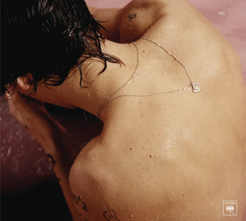 Виниловая пластинка Harry Styles - Harry Styles - рис.0