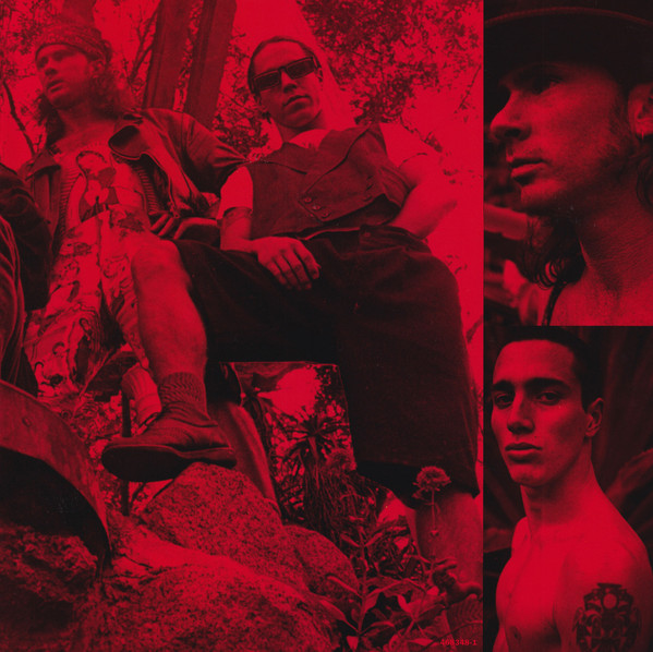 Виниловая пластинка Red Hot Chili Peppers - Blood Sugar Sex Magik - 2LP - рис.10