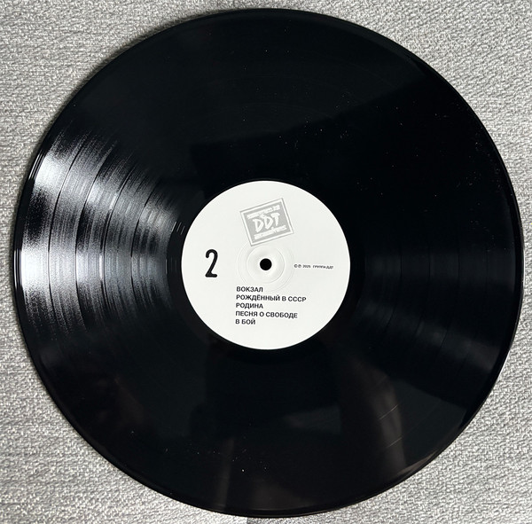 Виниловая пластинка Юрий Шевчук, ДДТ – Сборник Песен №1 - 2LP - рис.10