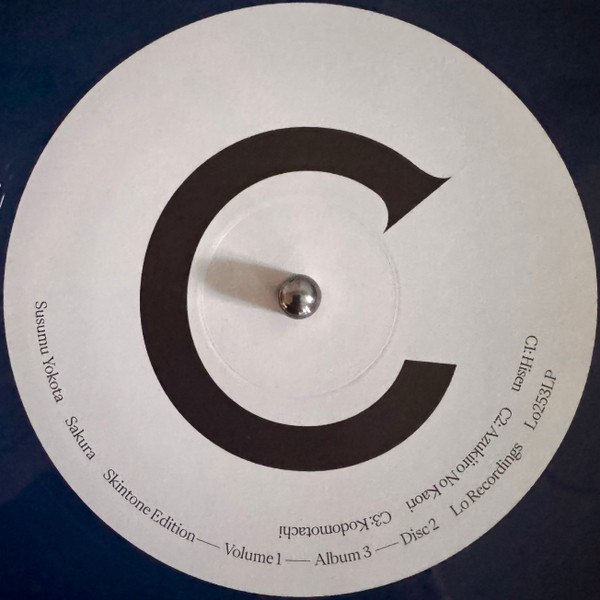 Бокс-сет Susumu Yokota – Volume 1 - Albums 1-7 (Skintone Edition, Box-set) LP - рис.22