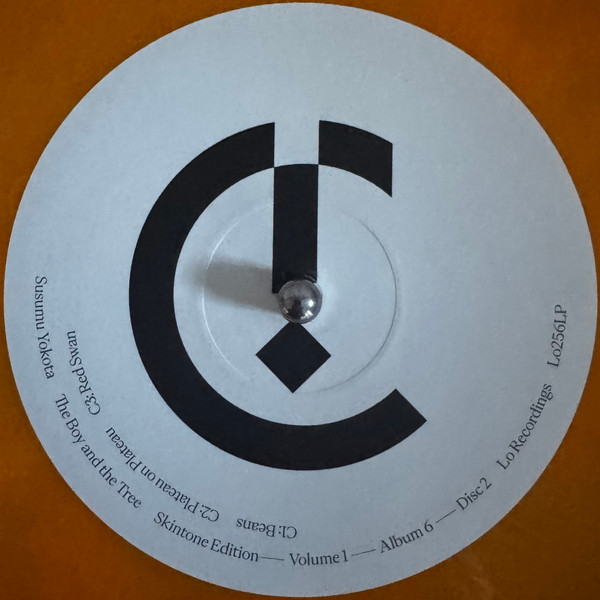 Бокс-сет Susumu Yokota – Volume 1 - Albums 1-7 (Skintone Edition, Box-set) LP - рис.45