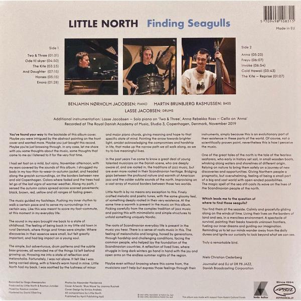 Виниловая пластинка Little North – Finding Seagulls LP - рис.1