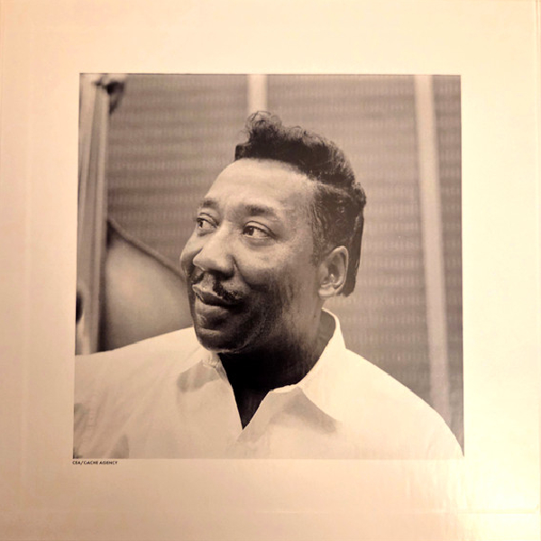 Виниловая пластинка Muddy Waters - Folk Singer LP - рис.1